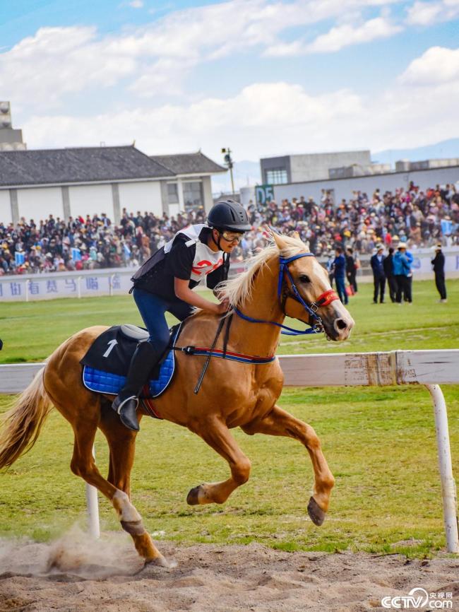 雲南大理:三(san)月街民族節賽馬(ma)大會開幕