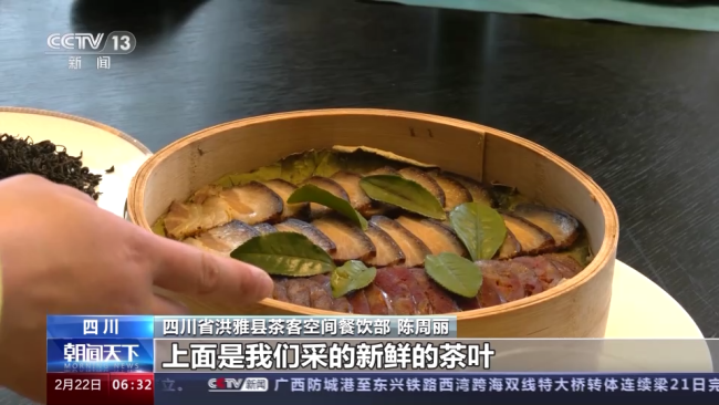 今年春茶全(quán)面開采 開采期(qi)較去年提前