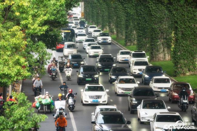 2025年12月7日，成都，高(gāo)架橋下爬滿碧綠(lü)的爬山虎。視覺中(zhōng)國