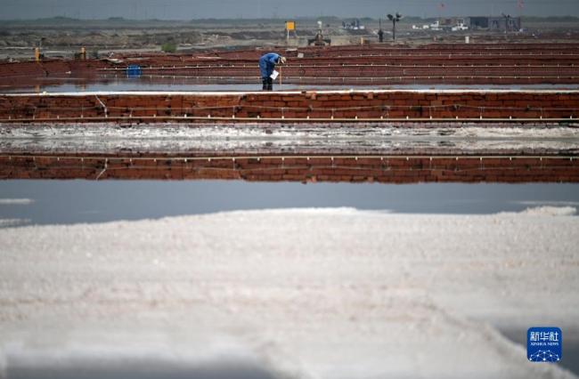 天津(jīn):千年鹽場迎豐(feng)收