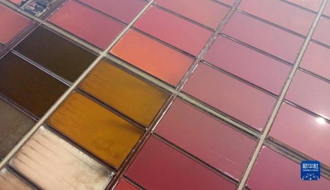 天津:千年鹽場(chǎng)迎豐收